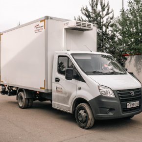 Пневмоподушки Арайд на Газель NEXT  Пневмоподушки Арайд на Газель NEXT