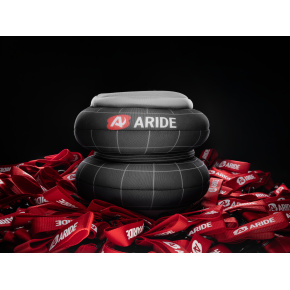 Подушка Арайд (игрушка полистирол)