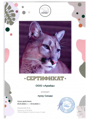 Рис. 8 Благодарственные письма